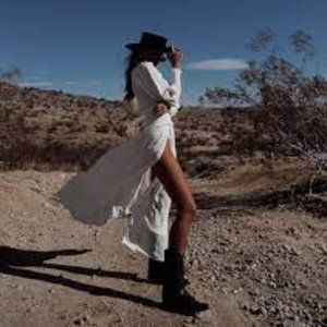 NWT WeWoreWhat Addison Dress - Small